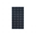 Monocrystalline Solar Pine 300WTT